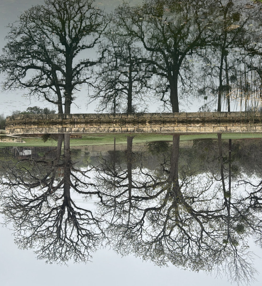 Solara Pond